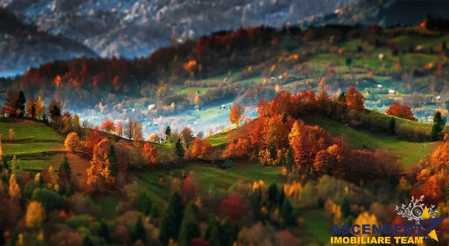 Incantare montana, documentie la zi, deschis si la plata in rate, Bran, Brasov - foto 23
