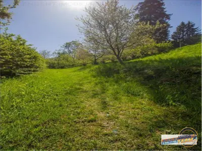 Resedinta distinctiva, pe domeniu de 2.200mp,cadru exclusivist, Central, Brasov - foto 14