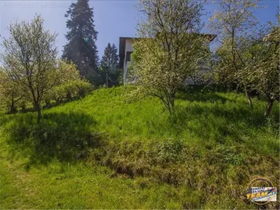 Resedinta distinctiva, pe domeniu de 2.200mp,cadru exclusivist, Central, Brasov - foto 10