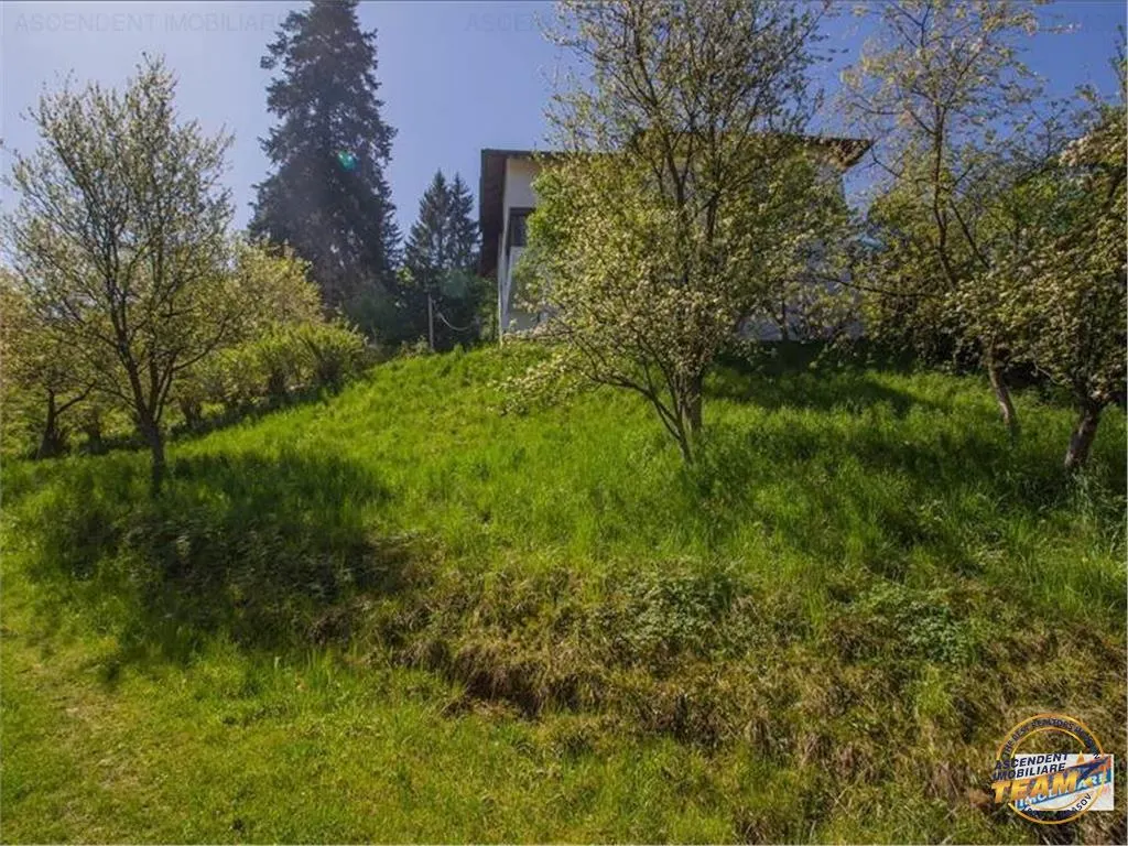 Resedinta distinctiva, pe domeniu de 2.200mp,cadru exclusivist, Central, Brasov - foto 10