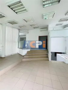 VANZARE VILA curte pretabil CLINICA RADIOLOGIE 1Mai Turda sector 1 - foto 2
