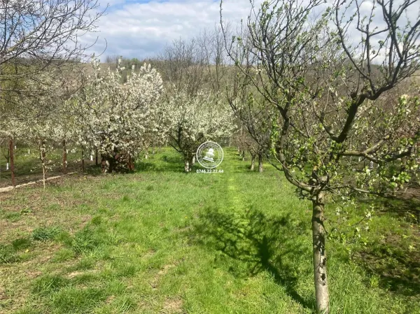Casă 8 camere Holboca - poza 5