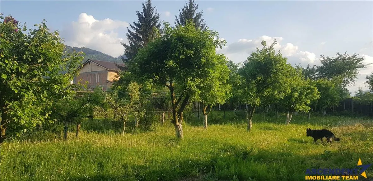 Casa de vanzare, 800mp teren, Turches, Sacele, Brasov - foto 7