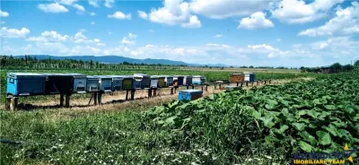 Pe domeniu de 20.000 mp, resedința din provincie, a nobililor feudali - foto 17