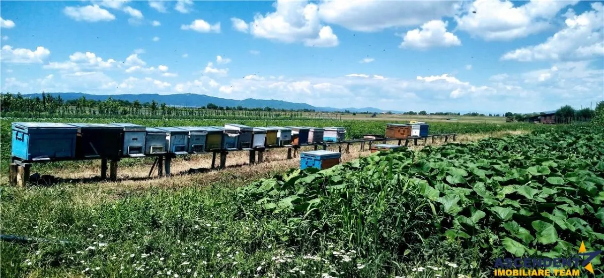 Pe domeniu de 20.000 mp, resedința din provincie, a nobililor feudali - foto 17