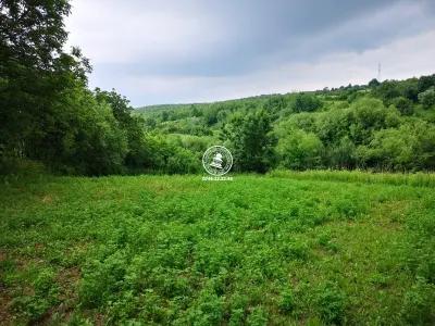 Teren intravilan - 2980mp - de vanzare in Carbunari, Grajduri - foto 2