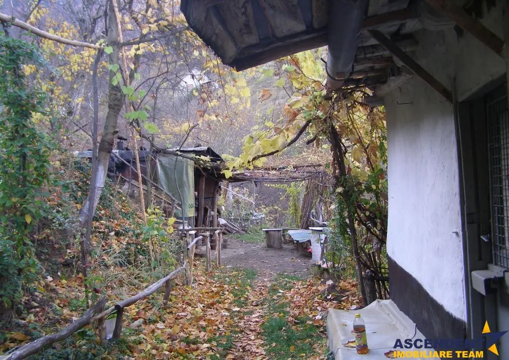 Teren intravilan 20.374mp, cu utilitati si sursa proprie apa, Schei, Brasov - foto 1