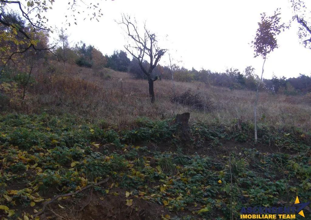 Teren intravilan 20.374mp, cu utilitati si sursa proprie apa, Schei, Brasov - foto 2