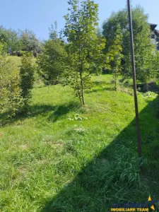 Moieciu, Bran, Brasov - foto 2
