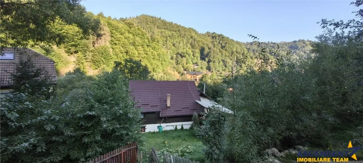 Moieciu, Bran, Brasov - foto 6