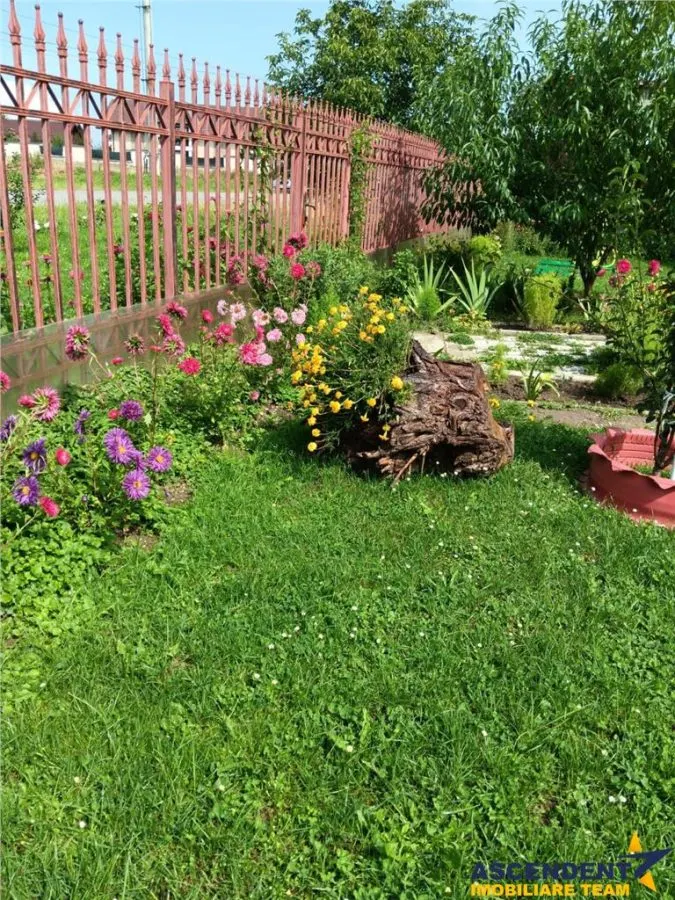 Rasnov, Brasov - foto 1