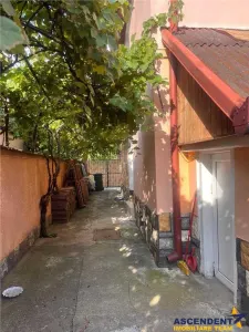 Casa Florilor - foto 4