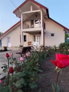 Vila de vanzare Stejari - Tiganasi
