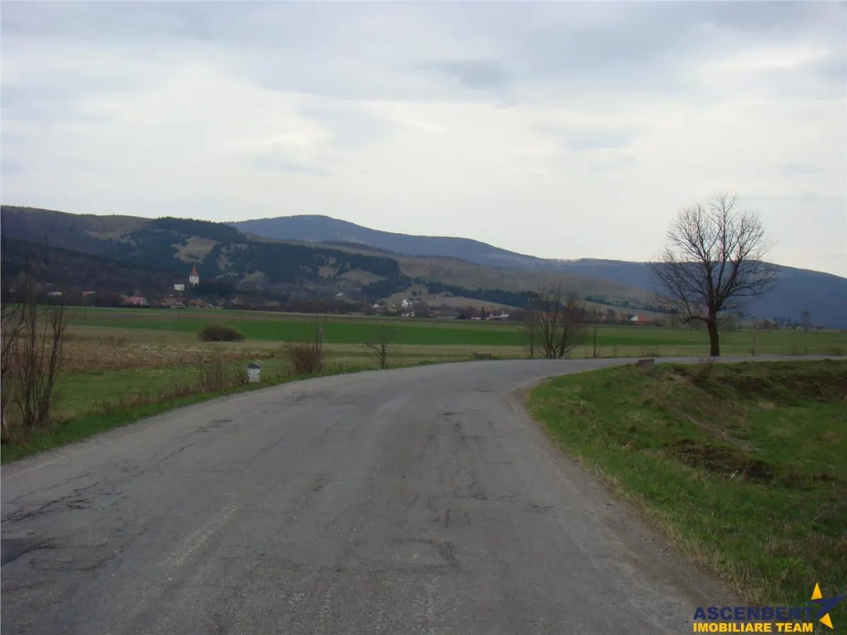 Domeniu de 6.000 mp, conditii apreciabile, Dobarlau, Covasna - foto 2