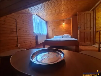 Incadrata de 4.200mp teren, Vila cu potential turistic, in inima Predealului - foto 21