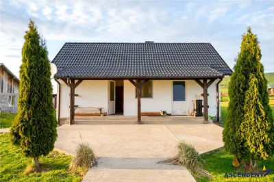 Film&Tur! Domeniu pe 222.000mp+ Ferma +Anexe specifice+Constructie+rezidentiala+Transfer business - foto 4