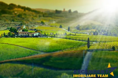 Film&Tur! Domeniu pe 222.000mp+ Ferma +Anexe specifice+Constructie+rezidentiala+Transfer business - foto 5