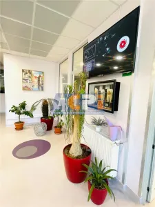 Spațiu comercial 314 mp Mosilor Stradal Parcare proprie - foto 7