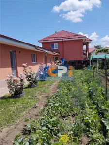 Vila, Republicii, Bacau - foto 5