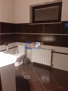 Vila cu piscina Voluntari, Iancu Nicolae - foto 17