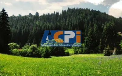 Teren intravilan si padure de brad 34.000 mp Varsag, Harghita - foto 7