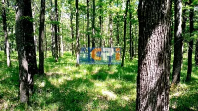 Teren forestier cu padure 484 ha si 240 ha, judetul Mehedinti - Drobeta Turnu-Severin