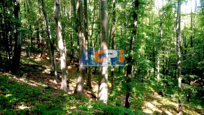 Teren forestier cu padure 484 ha si 240 ha, judetul Mehedinti - foto 2