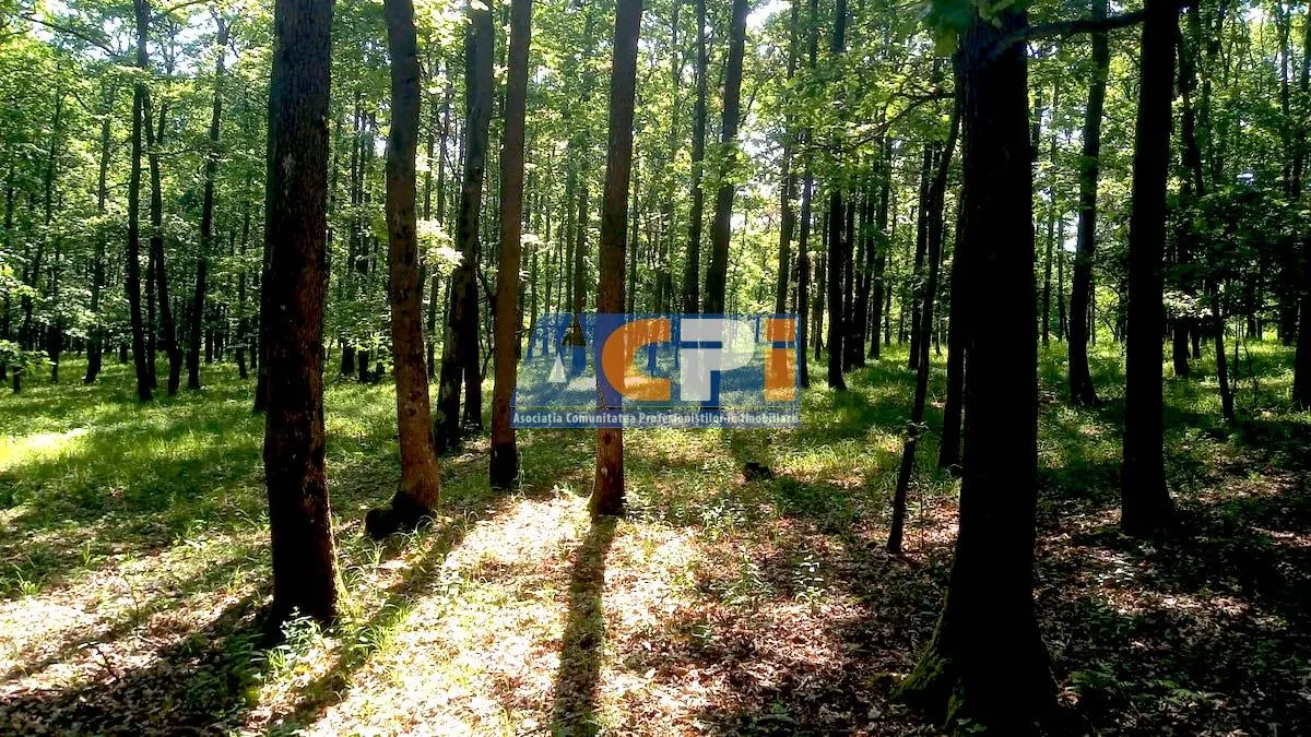 Teren forestier cu padure 484 ha si 240 ha, judetul Mehedinti - foto 3