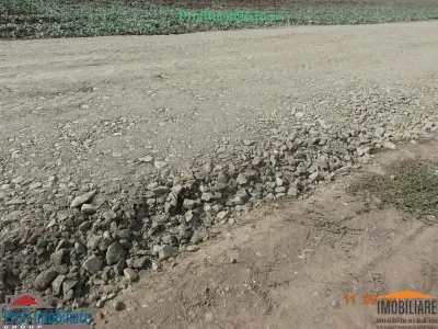 Vindem locuri de casa 540 sau 640mp in Zimand Cuz 7 km de Arad - foto 5