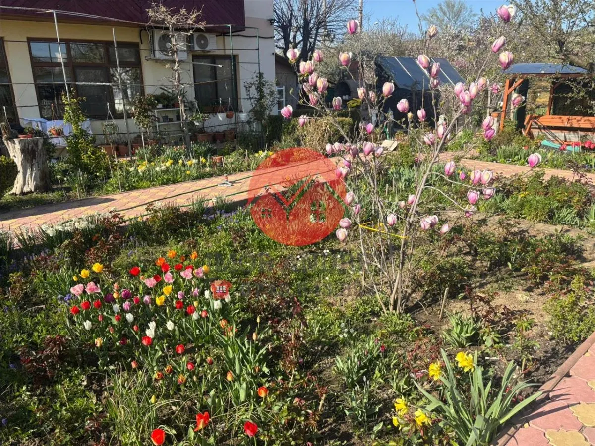 Afacere la cheie, Pensiune Tulcea 9 Mai cu deschidere la balta - foto 17