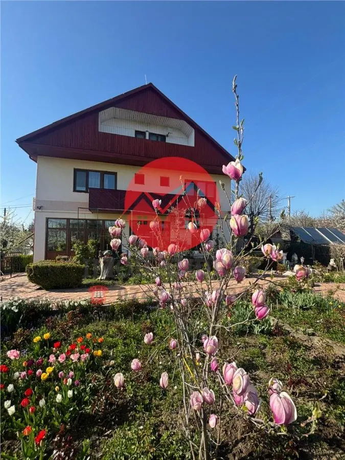 Afacere la cheie, Pensiune Tulcea 9 Mai cu deschidere la balta - foto 6