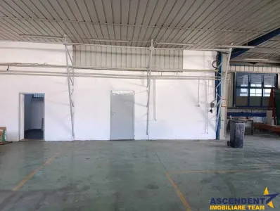 Spatiu tip hala - foto 4