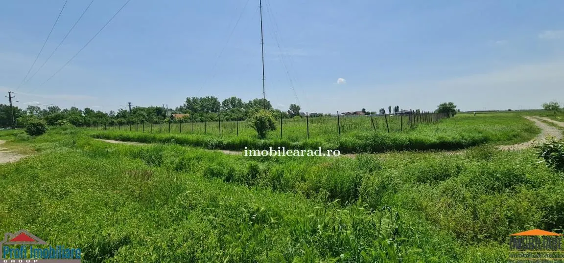 Teren intravilan 10.000mp cu utilitati, imprejmuit, Loc. Sanleani intre case, pretabil pentru cartier de blocuri - foto 10