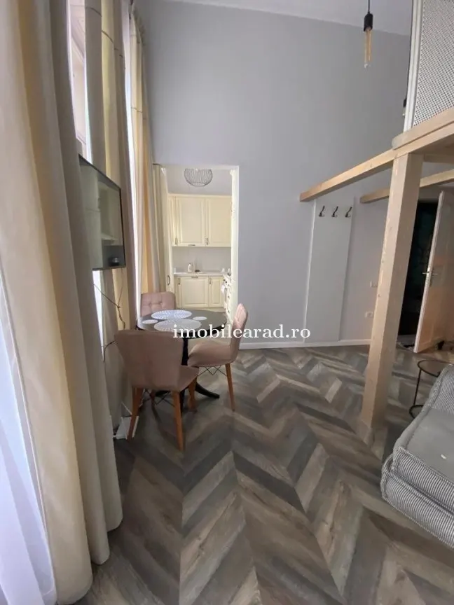 Apartament 60 Euro pe zi, amenajat in stil unic langa Primaria Arad - foto 1