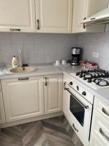 Apartament 60 Euro pe zi, amenajat in stil unic langa Primaria Arad - foto 11