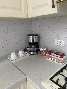 Apartament 60 Euro pe zi, amenajat in stil unic langa Primaria Arad - foto 12
