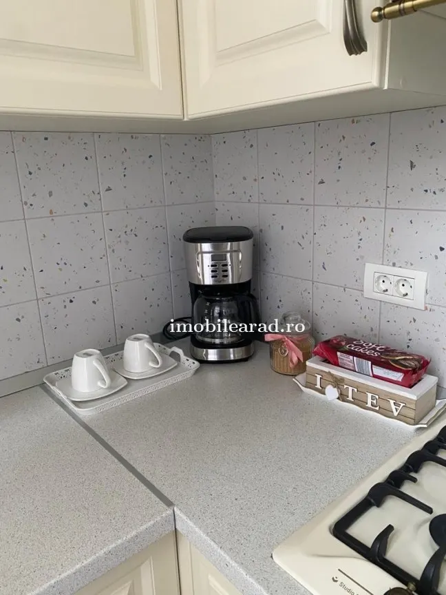 Apartament 60 Euro pe zi, amenajat in stil unic langa Primaria Arad - foto 12