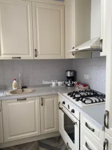 Apartament 60 Euro pe zi, amenajat in stil unic langa Primaria Arad - foto 14