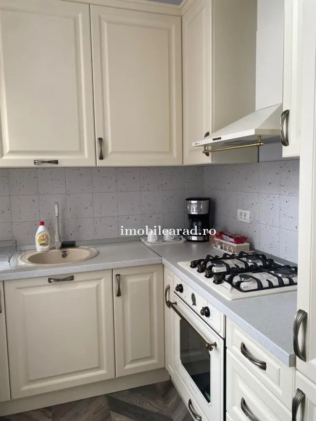 Apartament 60 Euro pe zi, amenajat in stil unic langa Primaria Arad - foto 14