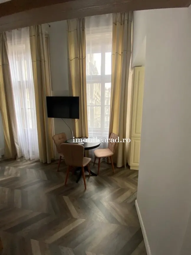 Apartament 60 Euro pe zi, amenajat in stil unic langa Primaria Arad - foto 18