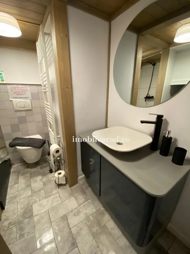 Apartament 60 Euro pe zi, amenajat in stil unic langa Primaria Arad - foto 20