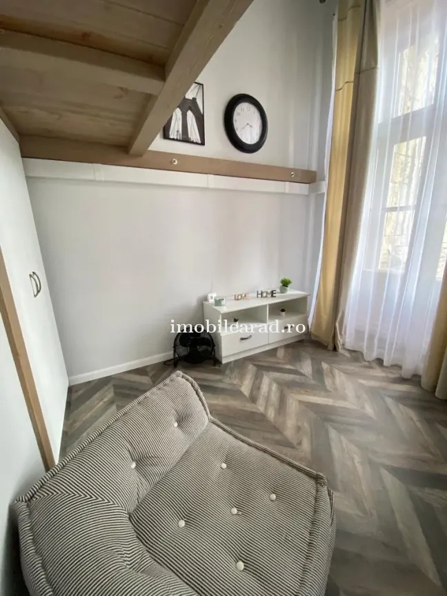 Apartament 60 Euro pe zi, amenajat in stil unic langa Primaria Arad - foto 4