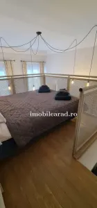 Apartament 60 Euro pe zi, amenajat in stil unic langa Primaria Arad - foto 7