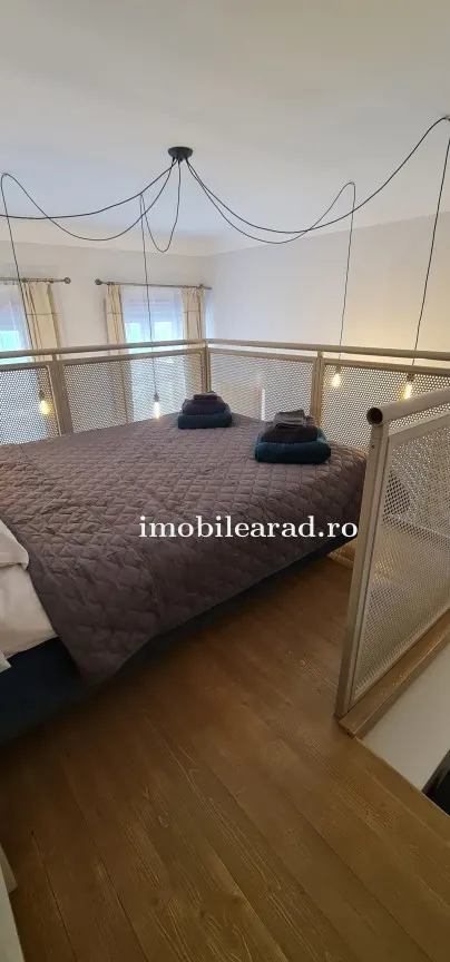 Apartament 60 Euro pe zi, amenajat in stil unic langa Primaria Arad - foto 7