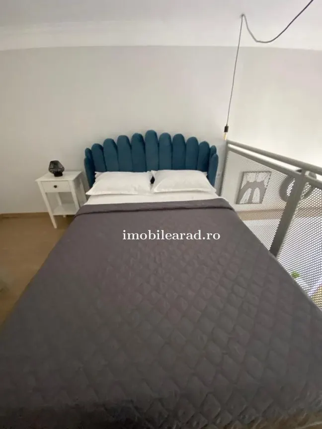 Apartament 60 Euro pe zi, amenajat in stil unic langa Primaria Arad - foto 8