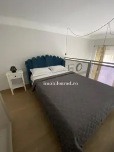 Apartament 60 Euro pe zi, amenajat in stil unic langa Primaria Arad - foto 9