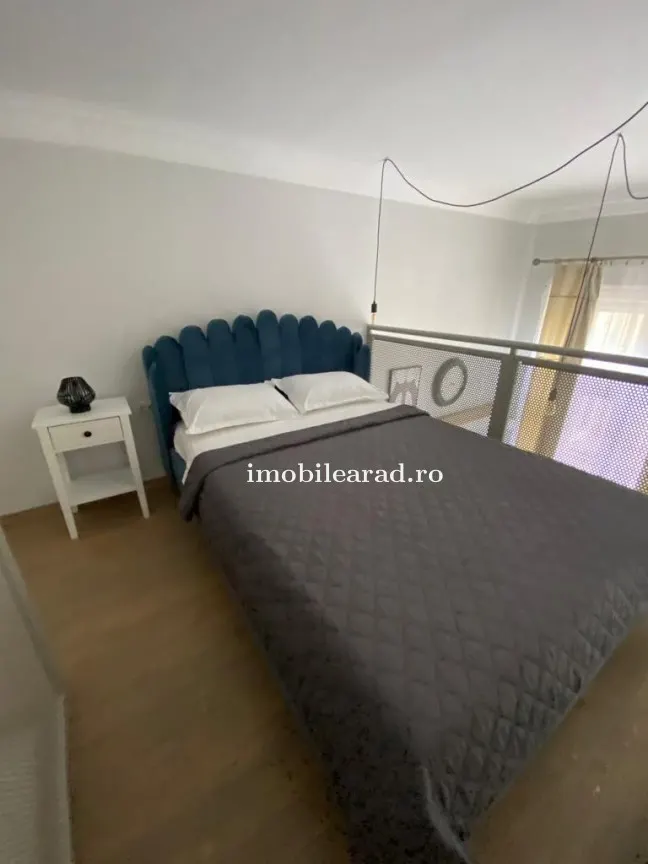 Apartament 60 Euro pe zi, amenajat in stil unic langa Primaria Arad - foto 9