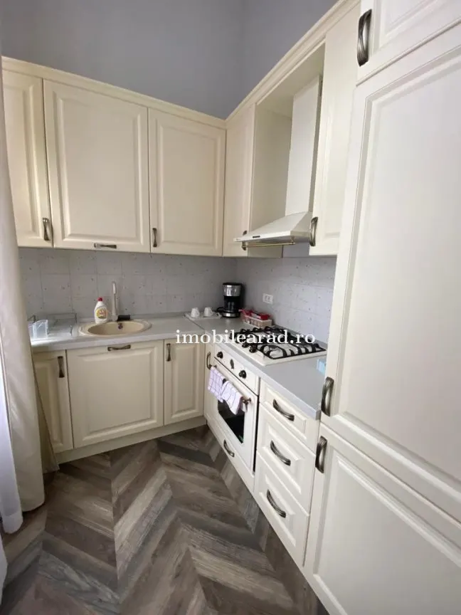Apartament 60 Euro pe zi, amenajat in stil unic langa Primaria Arad - foto 10