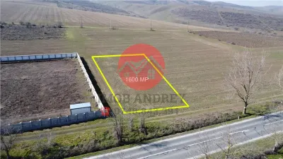 Teren intravilan 1600 mp Mineri, deschidere E87, ideal investitie - Mineri