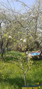 Casa cu gradina, piscina  si alte facilitati, Tarlungeni, Brasov - foto 1
